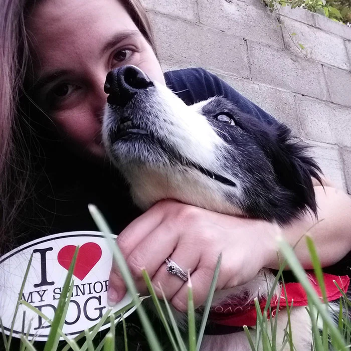 "I ❤️  My Senior Dog" Vinyl Sticker - Image 4