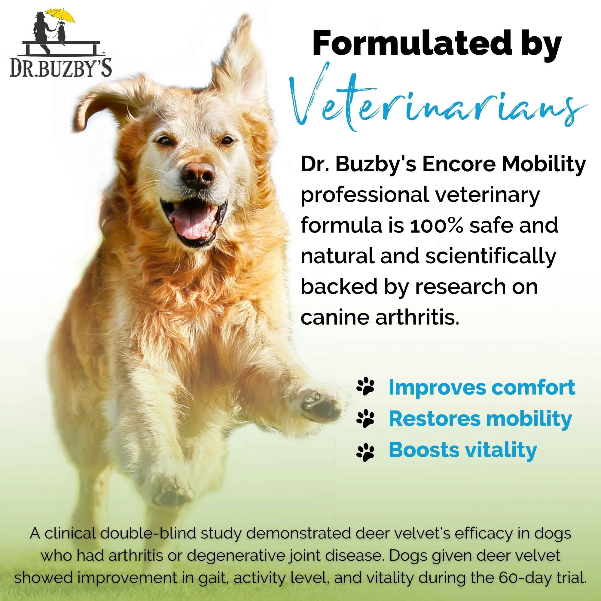 Dr. Buzby’s Encore Mobility™ Hip & Joint Supplement for Senior Dogs - Image 2