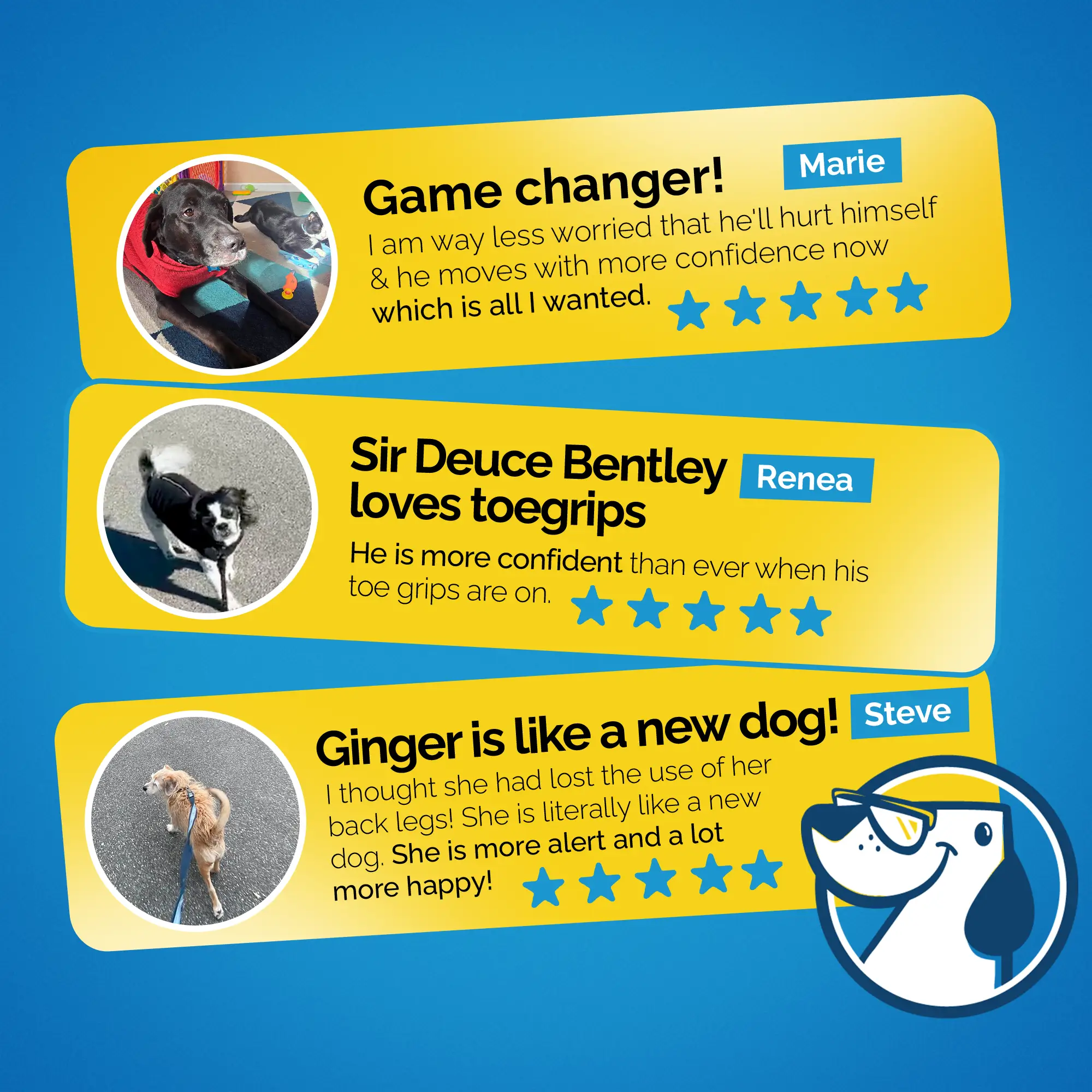 Dr. Buzby's ToeGrips® for Dogs - Image 7